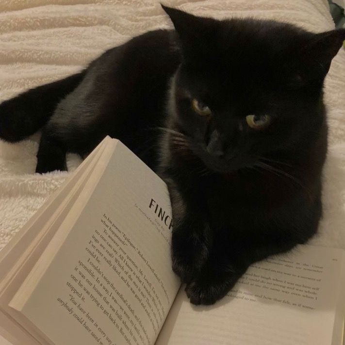 Profile Picture of ♥︎ (@cht_) on Tiktok