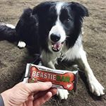 Profile Picture of joshua_mercierj (@joshua_mercierj) on Instagram