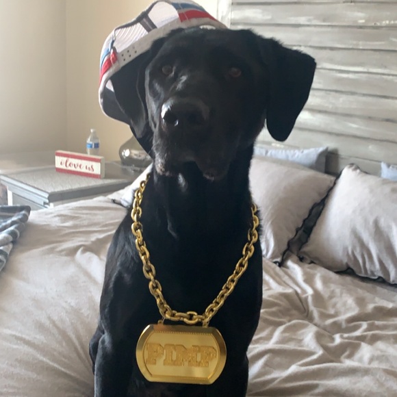 Profile Picture of Cole Ruzynski (@cruzynski) on Poshmark