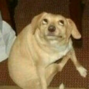 Profile Picture of Bidone (@becilli01) on Youtube