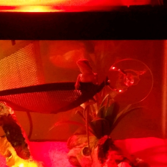 Profile Picture of Nicole Marek (@mrsmarek) on Poshmark