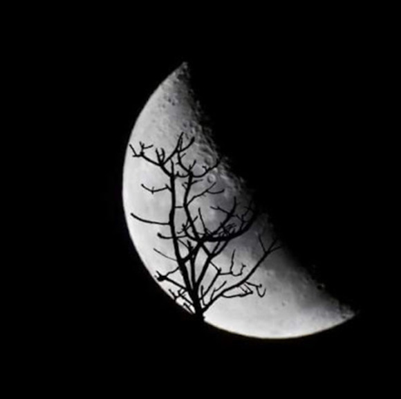 Profile Picture of Joe Tinoco (@jtin1965) on Poshmark