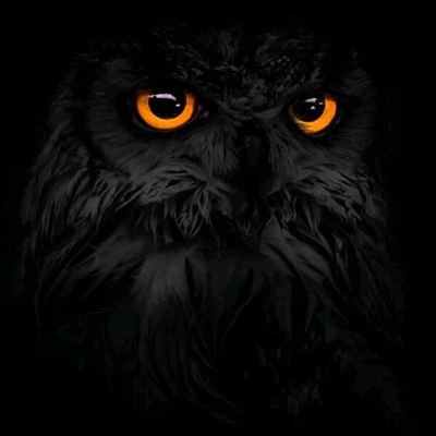 Profile Picture of Adrian Henrique (@TrevorBombat3) on Twitter