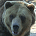 Profile Picture of John Blake (@johnedwardblake@btinternet.com) on Flickr