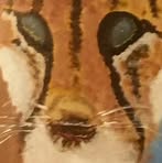 Profile Picture of Robert Hernbloom (@robert.hernbloom.5) on Facebook