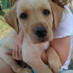 Profile Picture of Isabella Judge (@isabellajudge) on Instagram