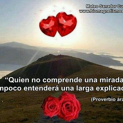 Profile Picture of Pepa Melia (@melia_ben) on Twitter