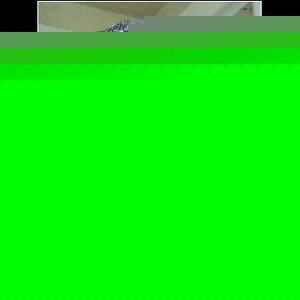 Profile Picture of Patrick Watrous (@230880903) on Myspace