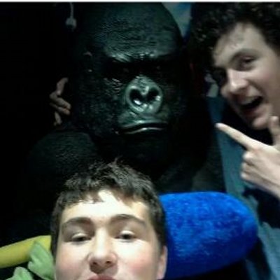 Profile Picture of David  ⭐ ⭐ (@dave2801epic) on Twitter