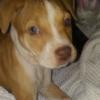 Profile Picture of Shelly Ellett (@@meesh1172) on Tiktok