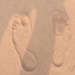 Profile Picture of Peter L (@lafrenierepeter) on Instagram