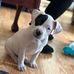 Profile Picture of Mark Tessier (@mark.tessier.75) on Facebook