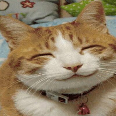 Profile Picture of Daniel Ponte (@danyelponte840) on Twitter