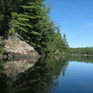 Profile Picture of Cathy Pappas 🇨🇦 (@KitCat0011) on Twitter