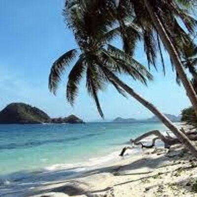 Profile Picture of Dana Alsudairi (@DanaAlsudairi) on Twitter