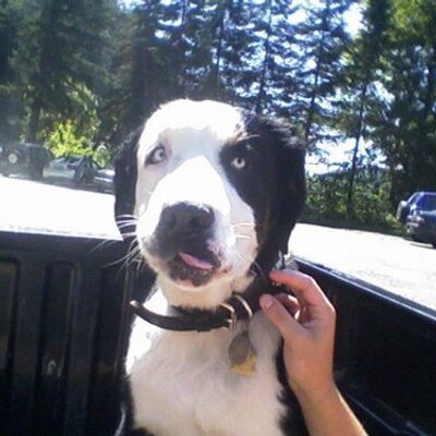 Profile Picture of Sports Info Guy (@Richard_Bender_) on Twitter