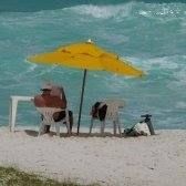 Profile Picture of Gabriel Adamek (@gabrieladamek) on Pinterest