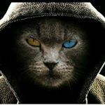 Profile Picture of Ayman Hammoud (@ayman.hammoud.35175) on Instagram