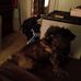 Profile Picture of Donnie Capps (@Donnie-Capps) on Facebook