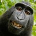 Profile Picture of Harry Collier (@harry.collier.37625) on Facebook