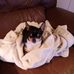 Profile Picture of Joann Wampler (@joann.wampler.58) on Facebook