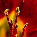 Profile Picture of Jesse Macdonald (@macdonaldphotography34) on Flickr