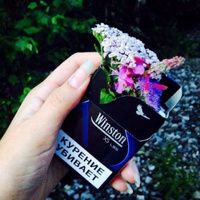 Profile Picture of david__winston (@david__winston) on Tiktok