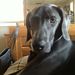 Profile Picture of Luz Aviles (@luzaviles48) on Pinterest
