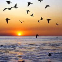 Profile Picture of hnaa (@ahmadmire7) on Tiktok