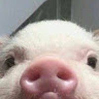 Profile Picture of Athena Quinn (@athena-quinn-4) on Quora