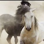 Profile Picture of George Gibbons (@grgibbons25) on Instagram
