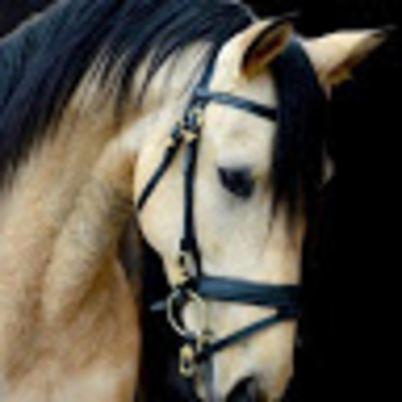 Profile Picture of Jenna Disch (@jennakdisch) on Poshmark