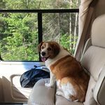 Profile Picture of David Heuvelhorst (@davidheuvelhorst) on Instagram