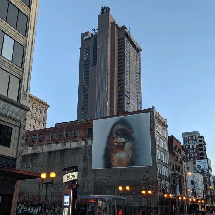 Profile Picture of Aaron Markovic (@markovicmail) on Tiktok