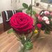 Profile Picture of Alexa Jenkner (@ajenkner) on Pinterest