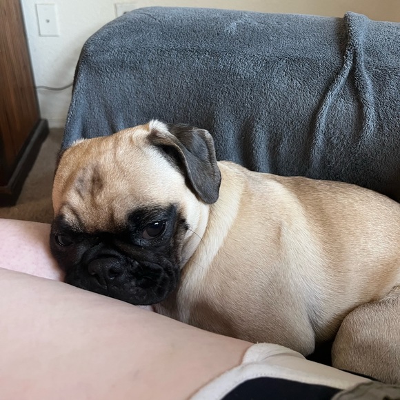 Profile Picture of Ikia Gugerty (@ikiagug) on Poshmark