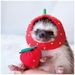 Profile Picture of Bailey Garrett (@puddles880077) on Pinterest