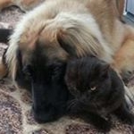 Profile Picture of Tamara Peake (@tam_pke) on Instagram