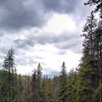 Profile Picture of Zach Reeves (@_zachreeves_) on Instagram