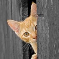 Profile Picture of Myrna Ross (@mjross38) on Pinterest