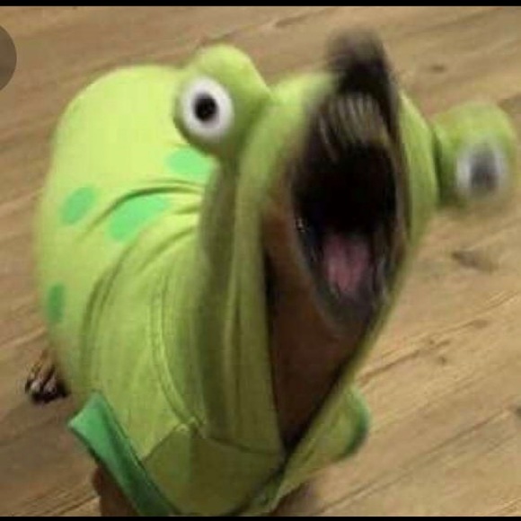 Profile Picture of Jeremy Rivas (@jeremyrivas113) on Poshmark