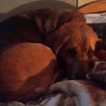 Profile Picture of Malcolm Arnold (@malcolm.arnold) on Instagram