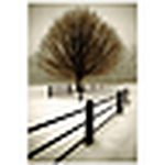 Profile Picture of David Lorenz Winston (@david lorenz winston) on Flickr