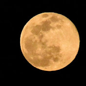 Profile Picture of Daniel Jacoby (@DanielJacoby-gb3nx) on Youtube