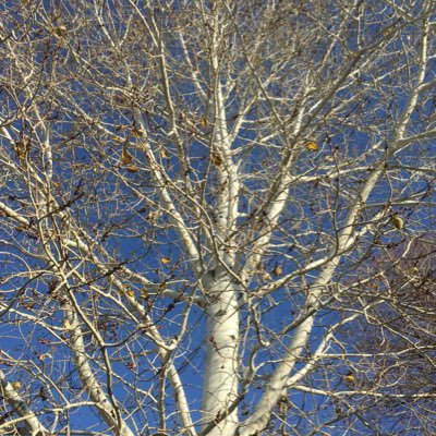 Profile Picture of Geoff Cunningham (@geoffcunningh10) on Twitter