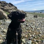 Profile Picture of Remington “Remi” Alexander (@remington__alexander) on Instagram