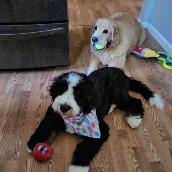 Profile Picture of Vicky Kleinfelter (@vkleinfelter) on Poshmark