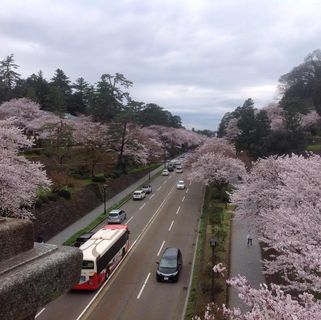 Profile Picture of Gilbert Vereeken (@gilbert.vereeken) on Facebook