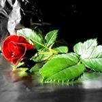 Profile Picture of Mohammed Shukri Abu Zahriyeh (@shukriabuzahriyeh) on Instagram