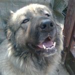 Profile Picture of Enrico Ravera (@enrico.ravera.568) on Instagram